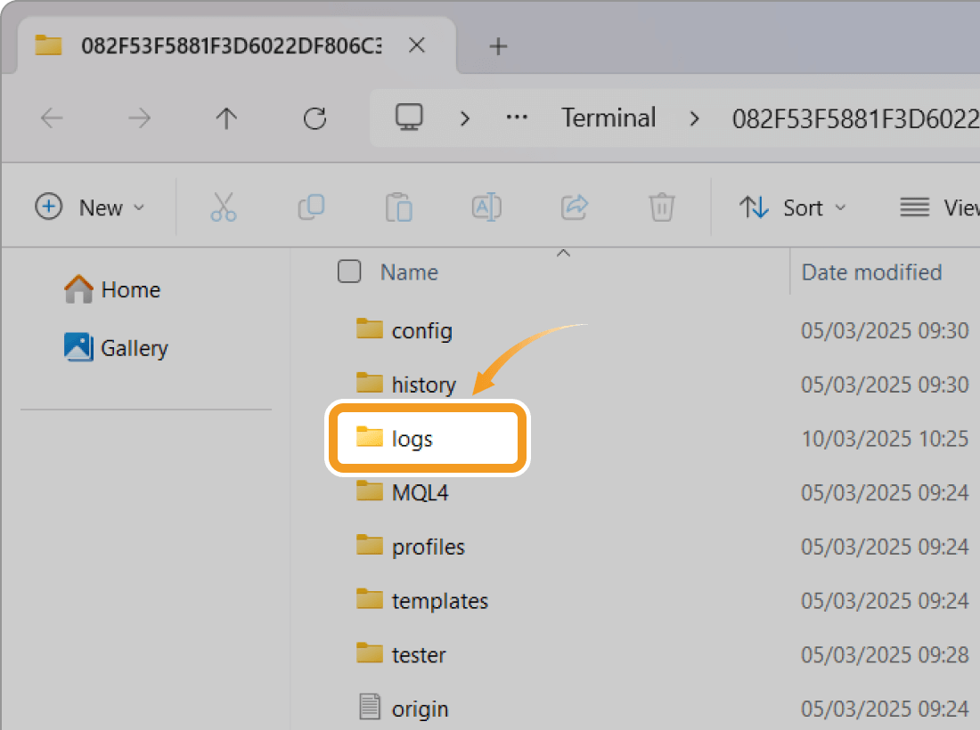 The logs will be displayed