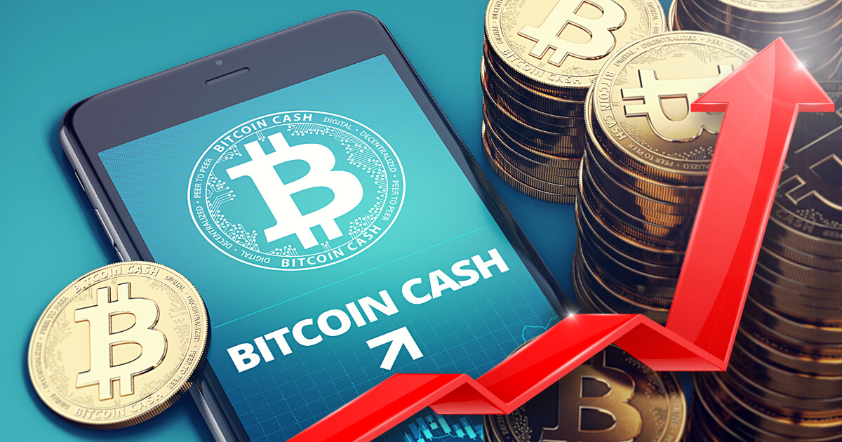 ビットコインキャッシュ、仮想通貨市場下落の中23％急騰