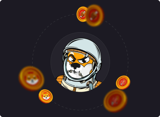 柴犬コインのイメージ