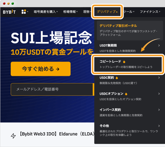 Bybitコピートレード選択