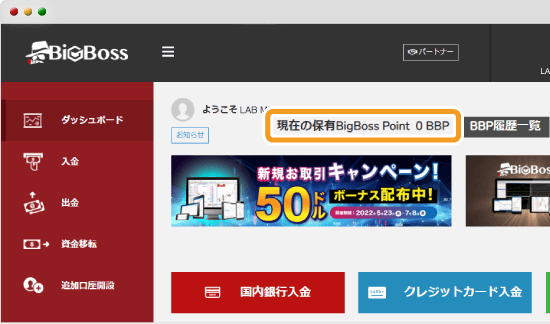 BigBossマイページ　BBPの確認