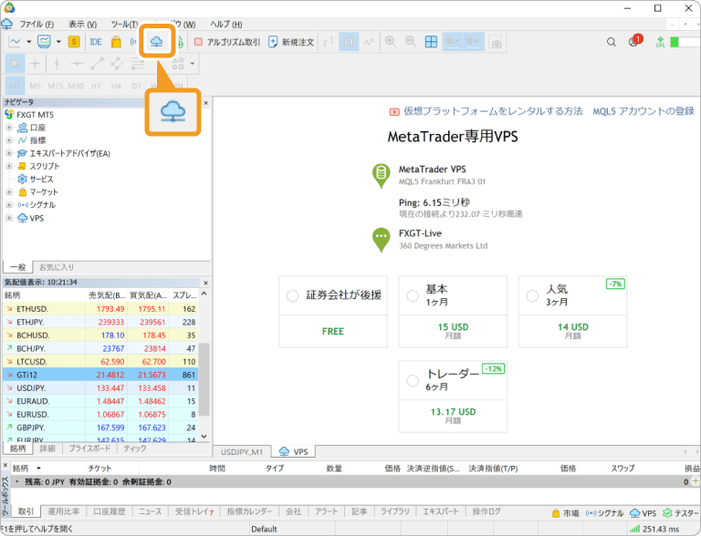MT5VPS申し込み全体画面