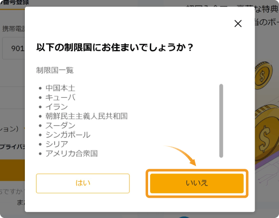 制限国確認画面