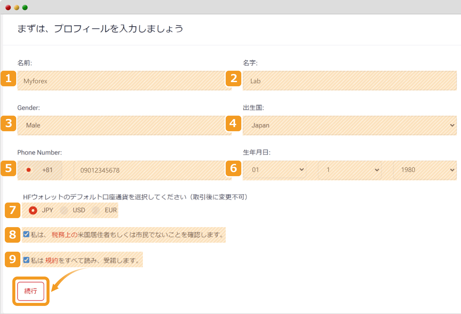HFMプロフィール入力画面