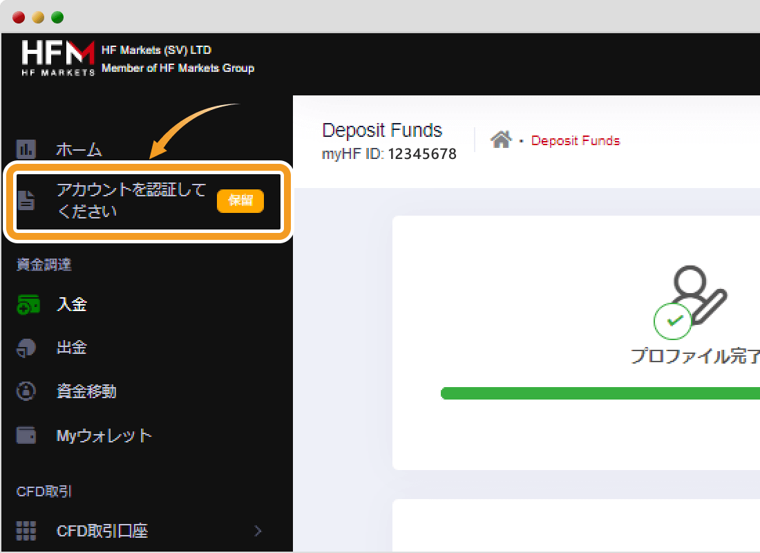HFM入金画面