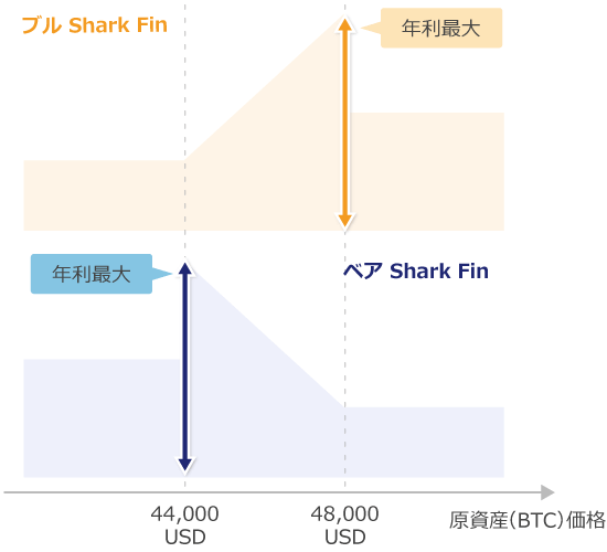 ベア Shark Finとブル Shark Fin