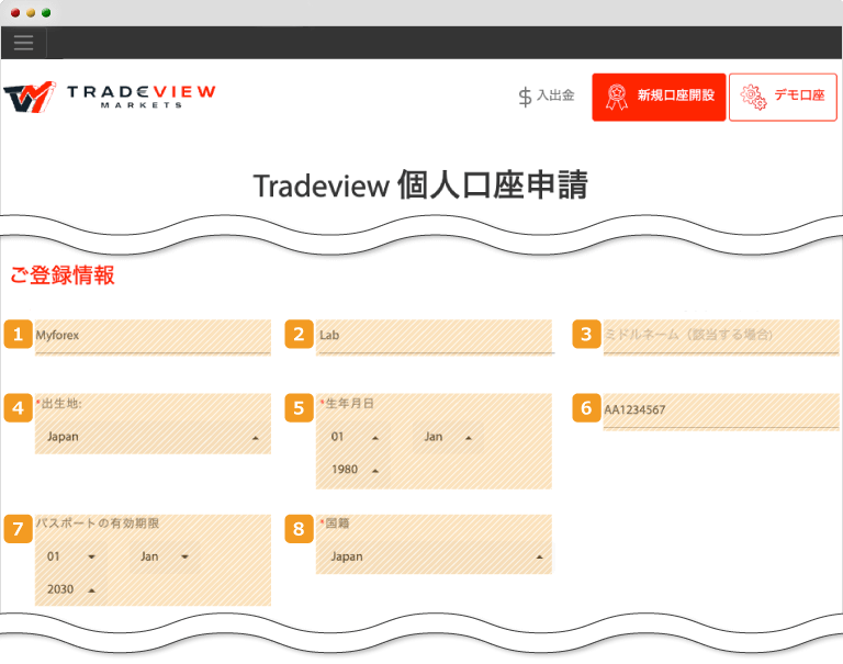 Tradeview・個人口座申請画面