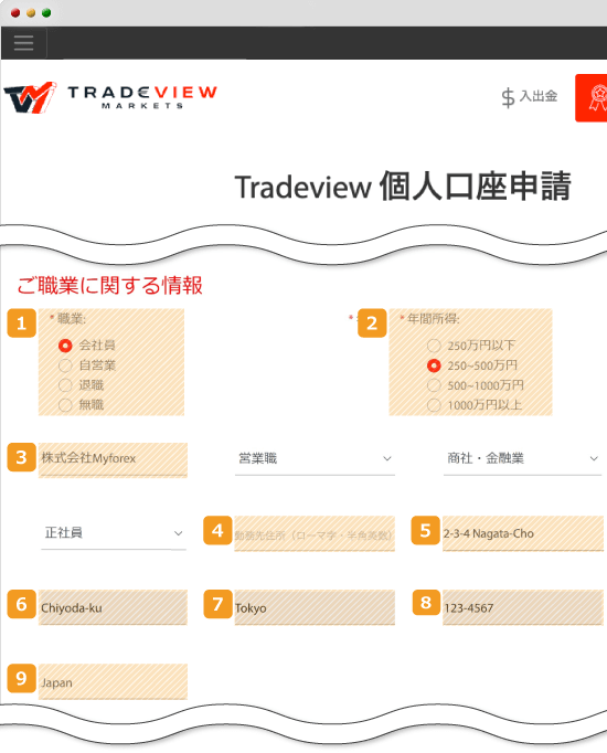 Tradeview・所得入力画面