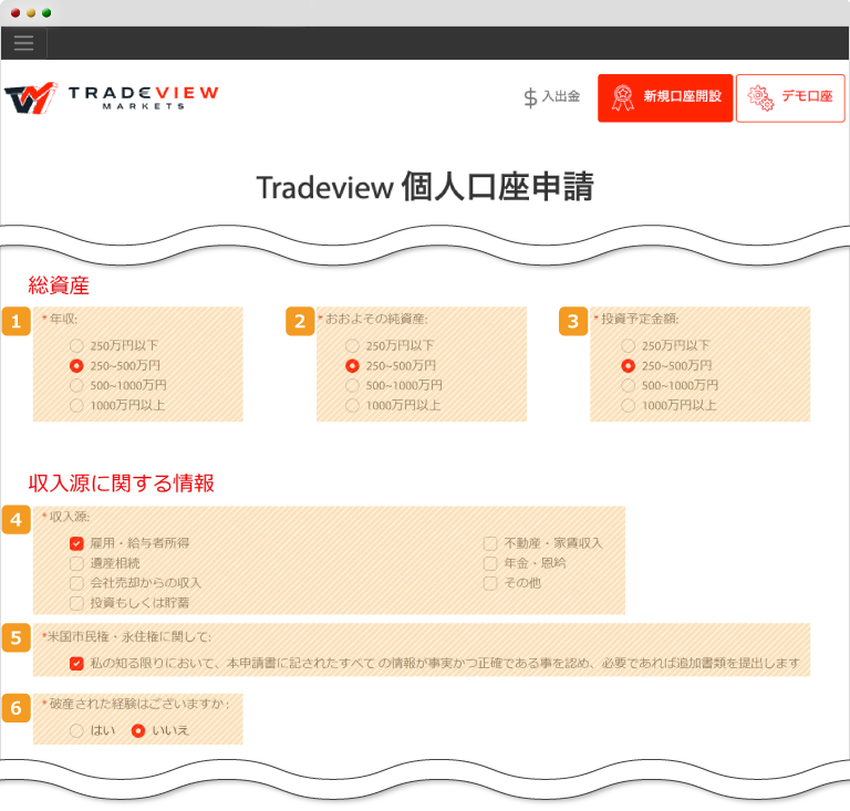 Tradeview・資産、収入源入力