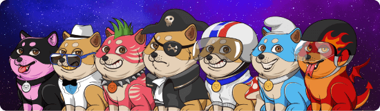 OpenSeaにおけるBaby Doge NFTコレクション