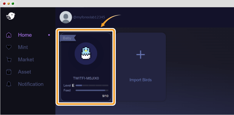 TwitFiでバードNFTの詳細を確認する
