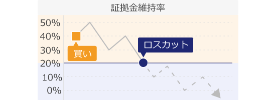 IS6FXロスカット