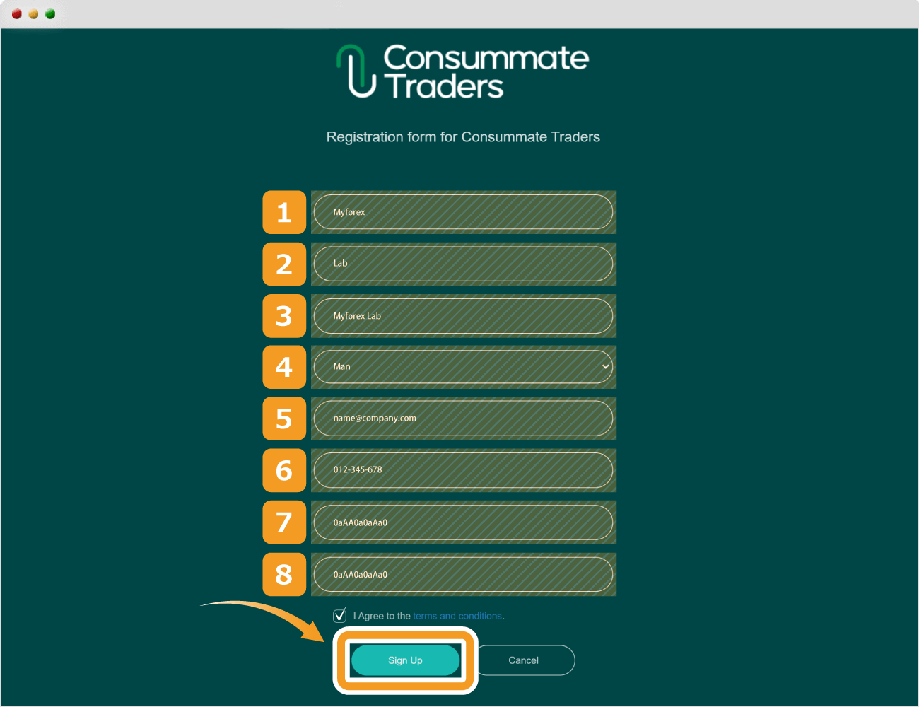 ConsummateTraders情報入力