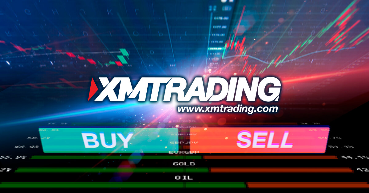 XMTradingでポジション比率を確認する方法とは？見方やトレードでの活用法を解説