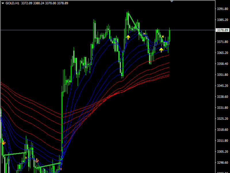 長期設定のGMMAインディケータ表示画面