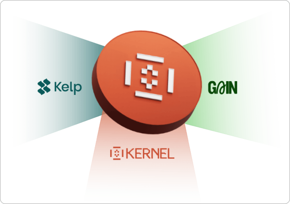 KernelDAOのイメージ