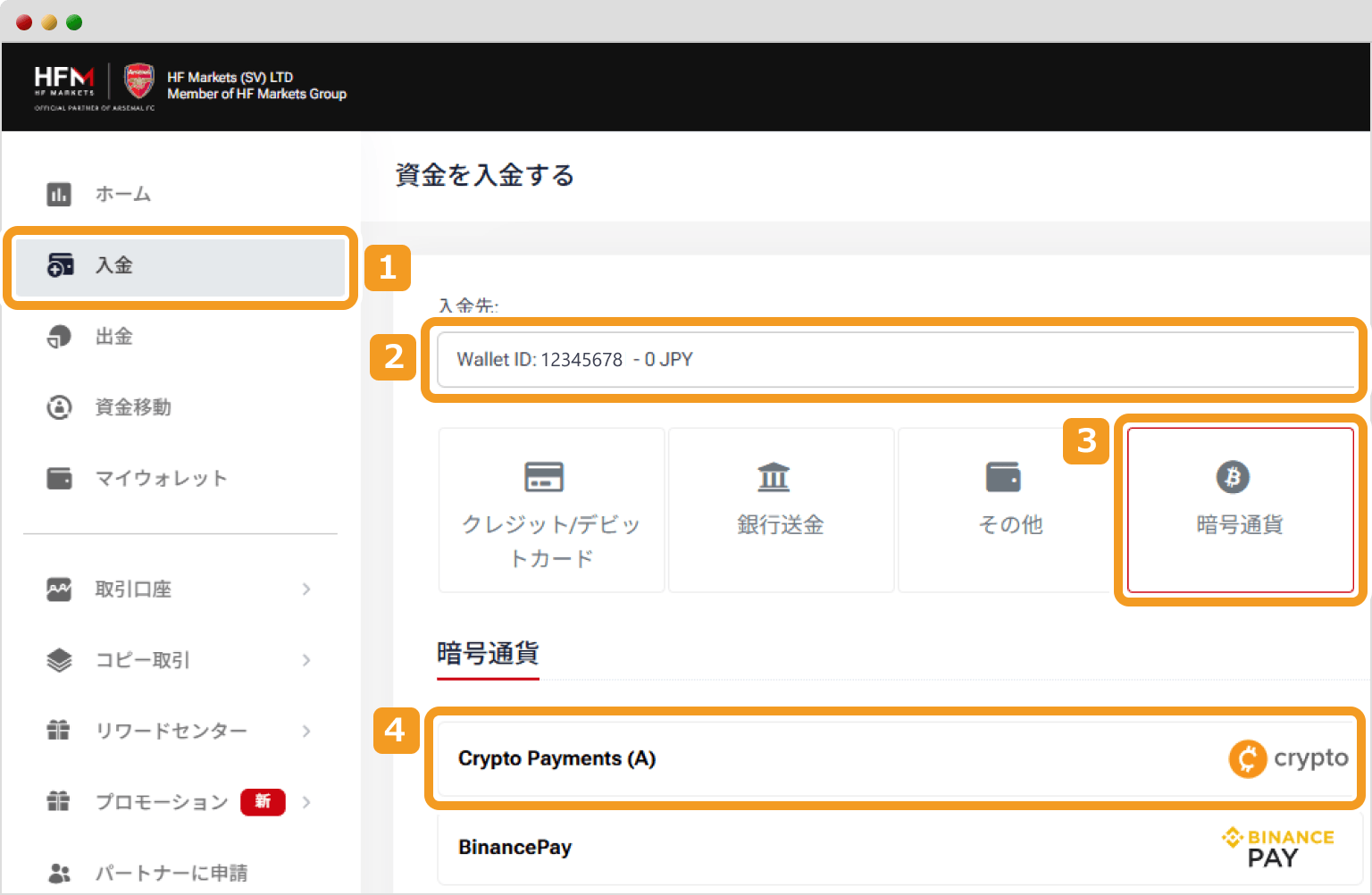 HFMの入金画面1
