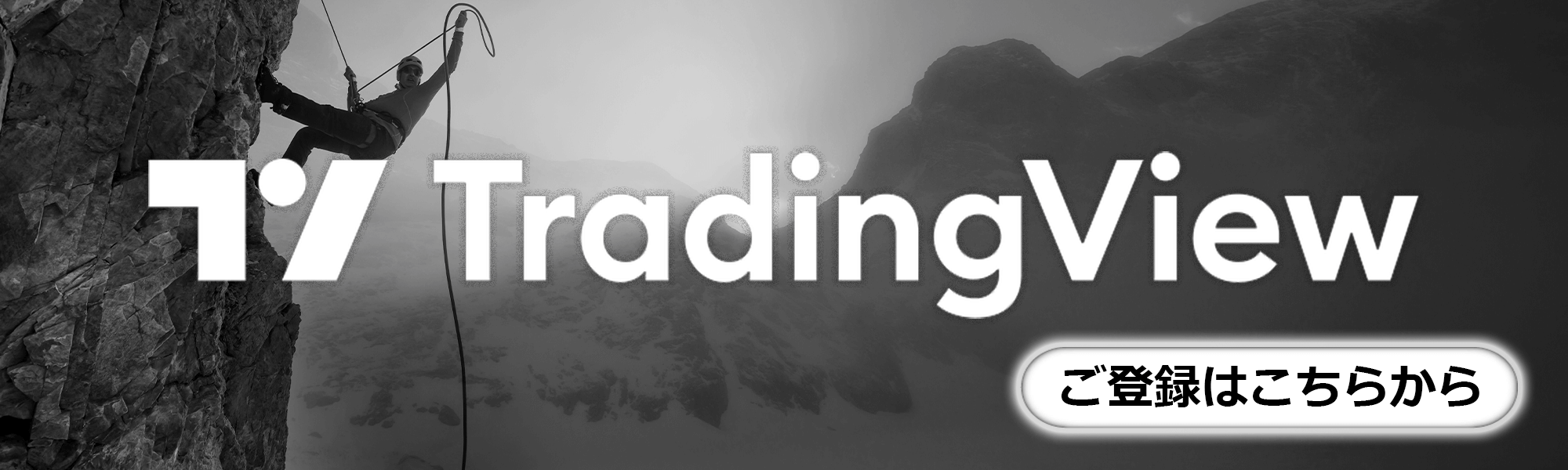 TradingView